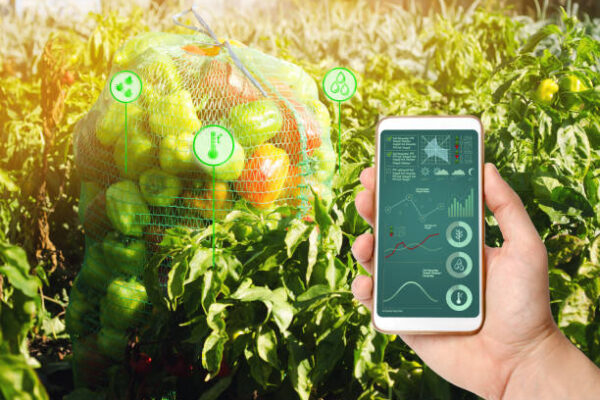 Enhancing crop productivity with satellite data in agriculture for precision farming and sustainable resource management.