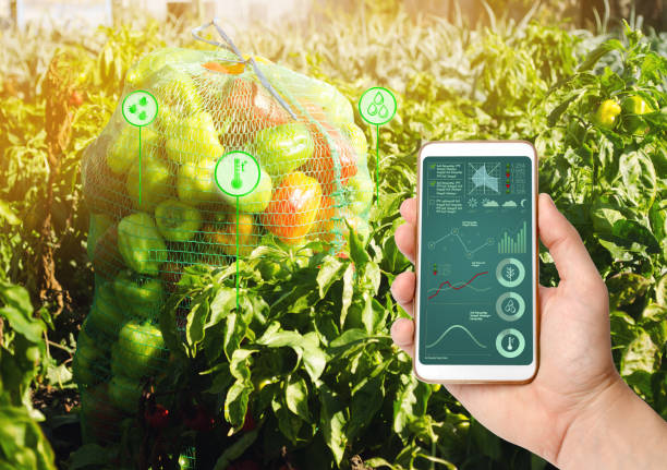 Enhancing crop productivity with satellite data in agriculture for precision farming and sustainable resource management.