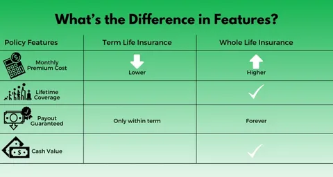 life insurance